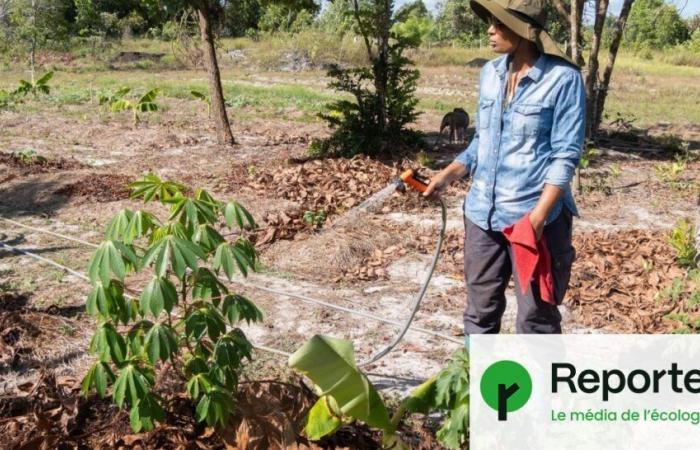 prácticas tradicionales en ayuda de la agricultura