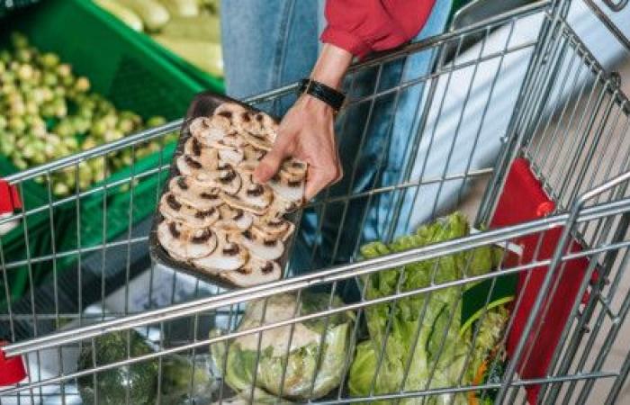 Treinta toneladas de alimentos recogidos en Friburgo