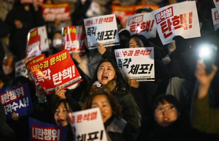 En Corea del Sur, manifestaciones tras el golpe del presidente Yoon Suk Yeol