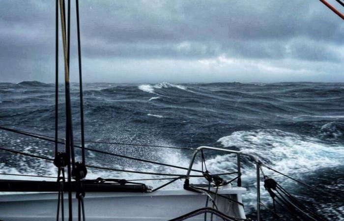 Statu quo en medio de la tormenta, el duelo Dalin-Simon continúa… Siga en directo la posición de los patrones