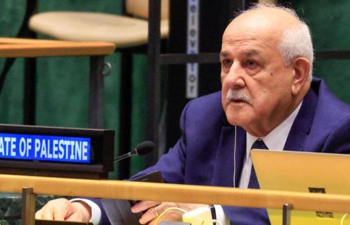 La Asamblea General de la ONU favorece la creación de un Estado palestino