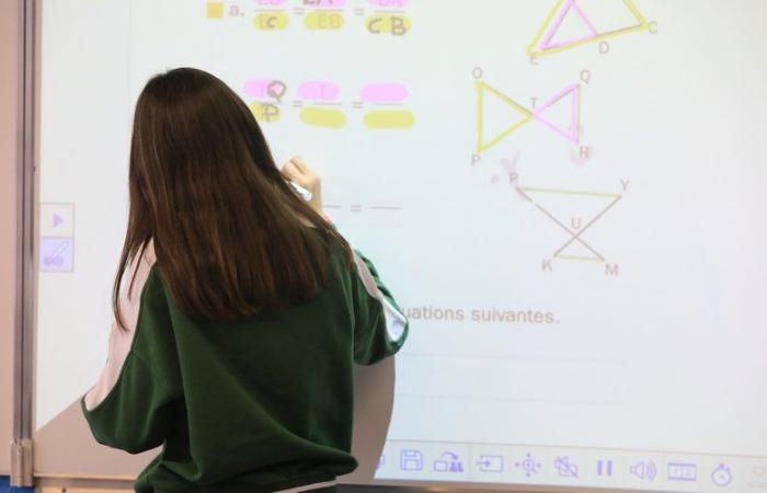 Matemáticas: los estudiantes franceses se encuentran entre los peores estudiantes de Europa, según el estudio internacional TIMSS