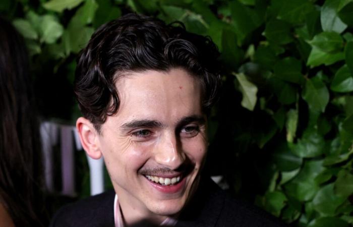 Timothée Chalamet se ofrece a pagar la multa de 500 dólares que recibió el organizador de su concurso de dobles