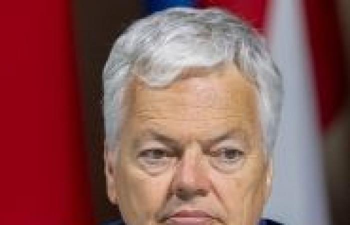 Un posible levantamiento de la inmunidad a Didier Reynders: ¿cómo sucederá?