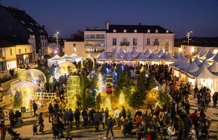 Las fiestas navideñas de esta semana en La Roche-sur-Yon y sus alrededores