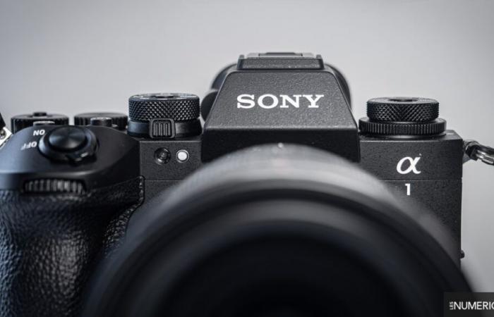 Revisión de Alpha A1 II: el buque insignia híbrido de Sony obtiene su actualización