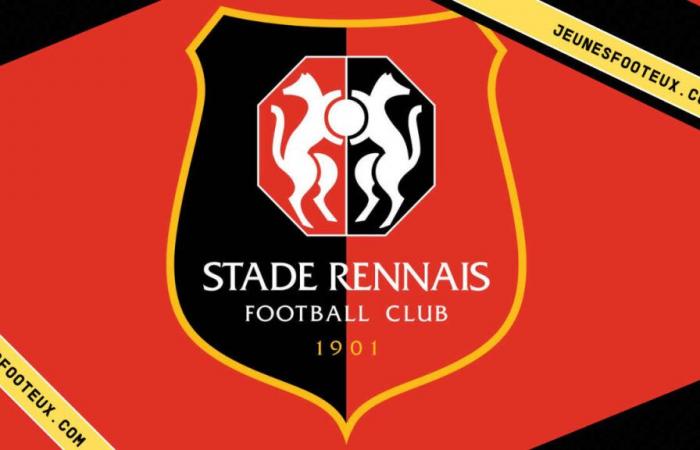 ¿Un gran movimiento para Nemanja Matic para intentar llegar al Stade Rennais?