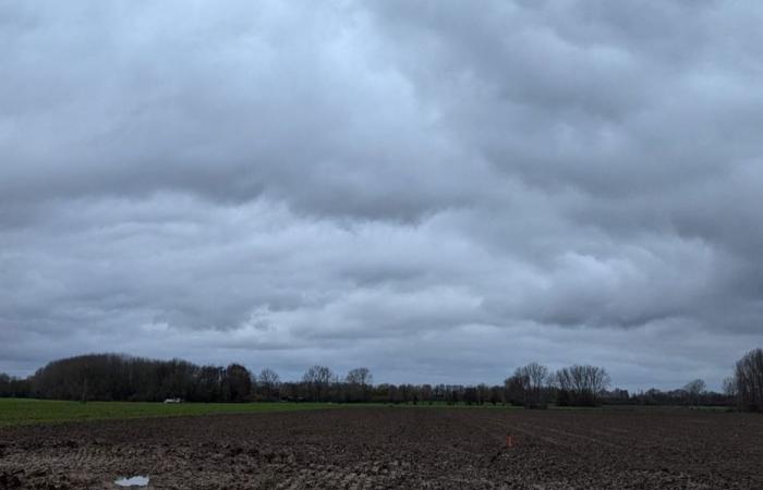 Informe meteorológico. ¿Cuál es el tiempo para este miércoles 4 de diciembre en Alta Francia?