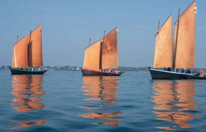 Amigos de Sinagot: descubriendo el golfo de Morbihan en Sinagot