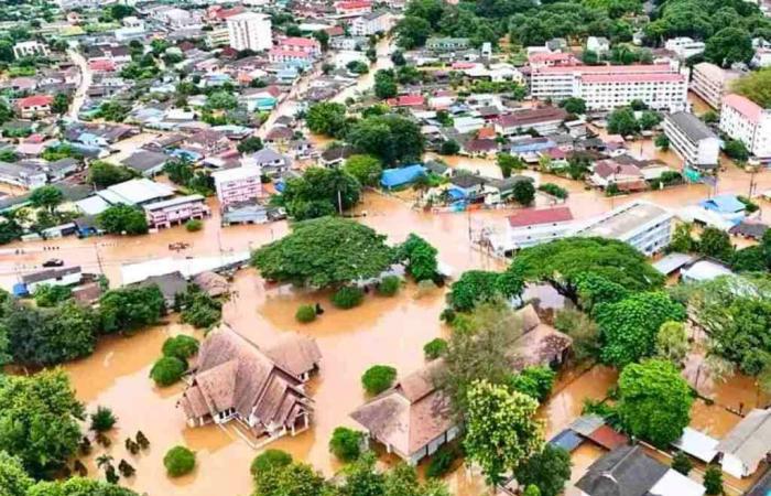 Los humanos responsables de las devastadoras inundaciones.