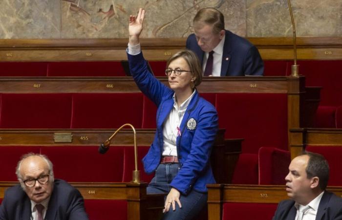 Después de la censura del gobierno, los diputados se enfrentan a las preocupaciones de los votantes