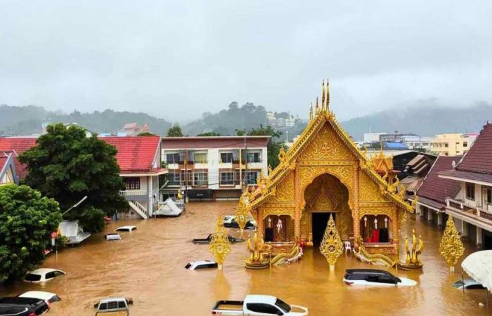 Los humanos responsables de las devastadoras inundaciones.