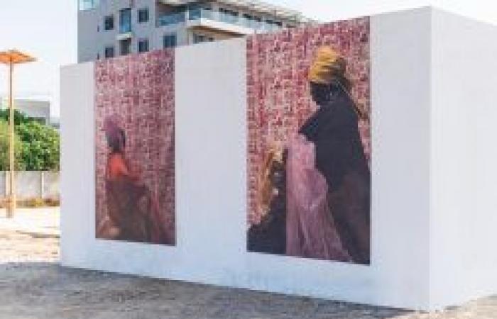 Infraestructura cultural insuficiente: el artista visual Djibril Dramé pide al Estado que transforme los edificios públicos, desocupados en residencias de artistas y artesanos, en residencias de artesanos