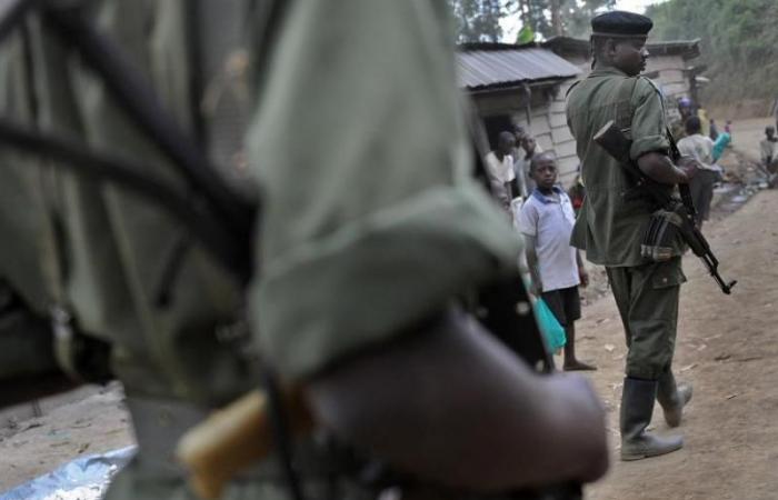 Las FDLR piden un diálogo directo con el gobierno de Ruanda