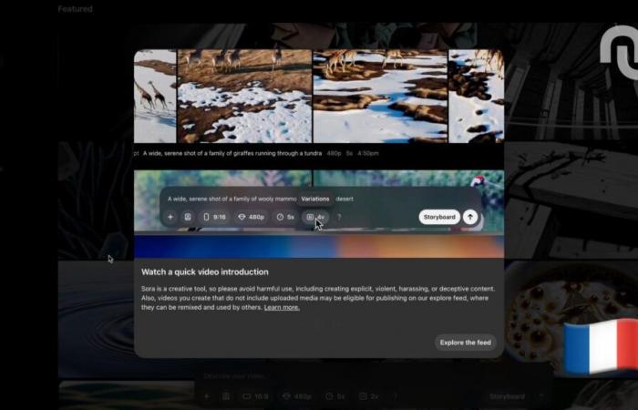 ¿Cómo probar Sora en Francia para generar vídeos?