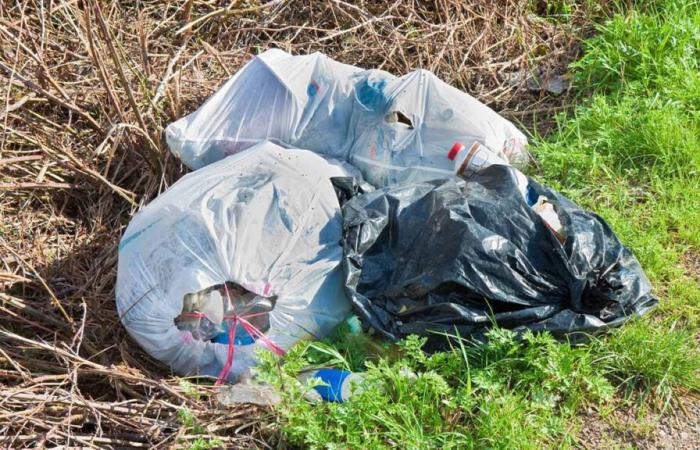 Val-d’Oise: contra los residuos abandonados, la unión hace la fuerza