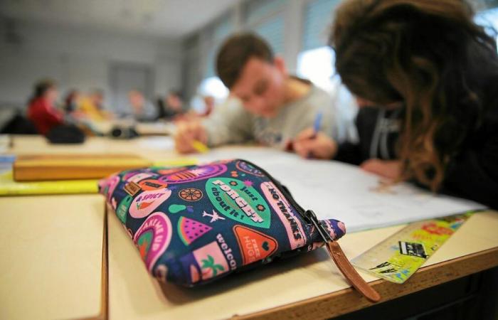 En términos numéricos, ¿por qué al sector público le va mejor que al sector privado en la educación primaria y secundaria en Morbihan?