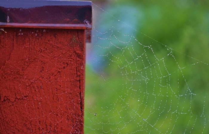 ¿Cuál es el tiempo esperado en Bayeux y sus alrededores el lunes 9 de diciembre de 2024?