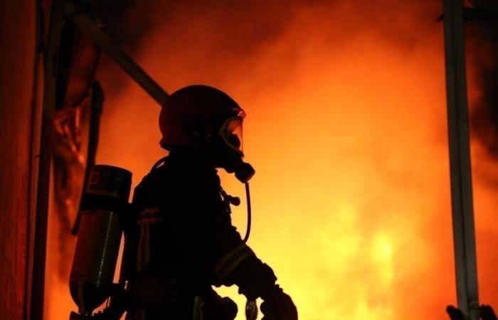 Dos perros encontrados muertos en un incendio en una casa