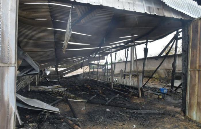 Top News: un nuevo milagro reconocido en Lourdes 100 años después, un incendio asola una casa en el centro de Tarbes… noticias a seguir este lunes 9 de diciembre