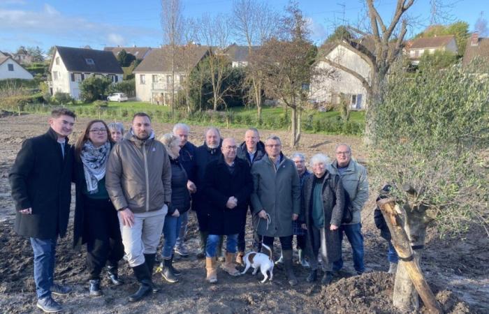 Si el día de Santa Catalina toda la madera echa raíces, el día de San Eloi los escolares plantan con alegría