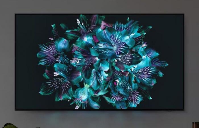 Samsung OLED TV: este modelo atrae a los curiosos por su precio en la web oficial