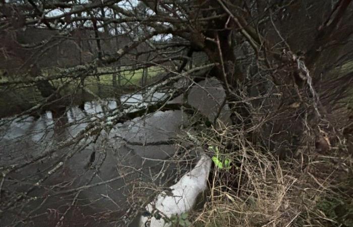 Los bomberos de Cantal intervienen para rescatar a un caballo atrapado en el barro