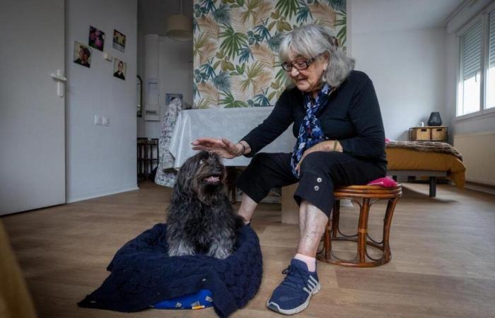 Gironda: por primera vez en Francia, una residencia de ancianos abre sus puertas a los animales de los residentes