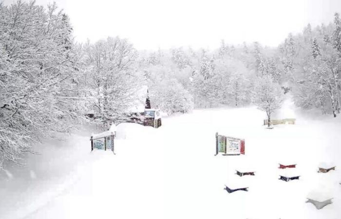 Nieve en los Pirineos Atlánticos: en Gourette, Lescun, La Pierre Saint-Martin, el manto blanco toma forma