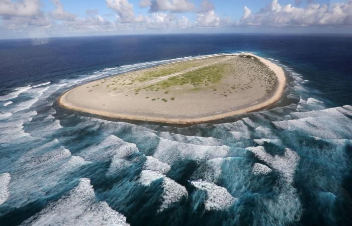 “Todos nos preguntamos cómo nos las arreglaríamos solos en una isla desierta”