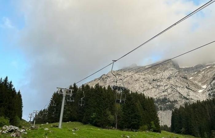 una guía para reducir el impacto de los remontes en los pastos de montaña