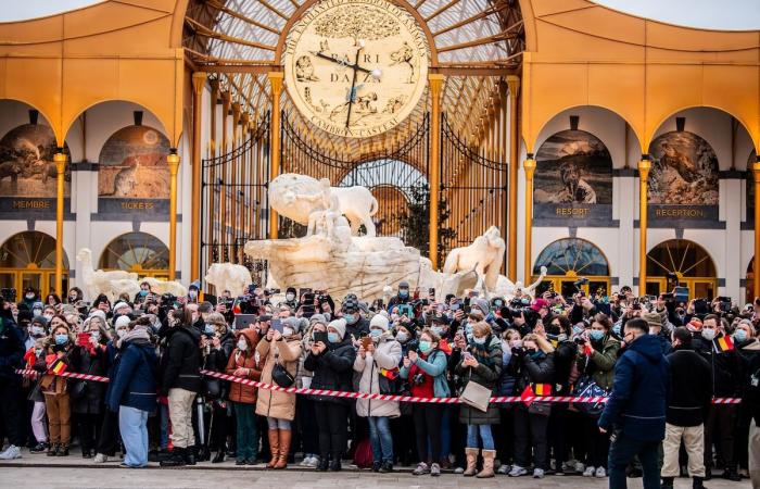 Fuerte emoción en Pairi Daiza: los tres pandas nacidos en Bélgica se dirigieron a China ante un gran público