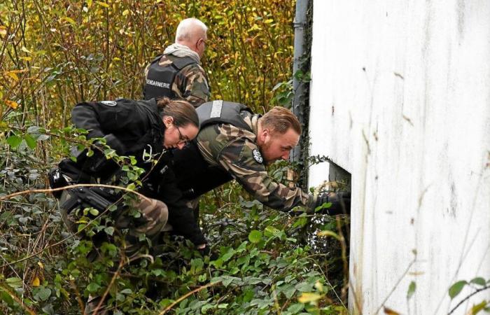 Desaparición de Morgane en Pabu: los gendarmes “aún muy movilizados” en la investigación del barrio