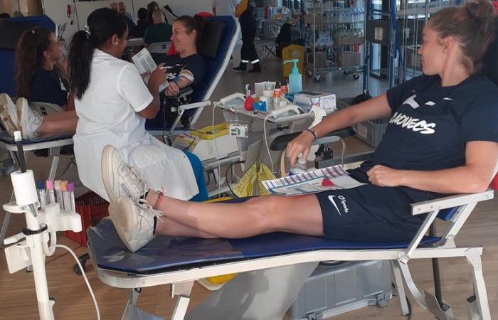 Blagnac. Donación de sangre: la recogida se acerca