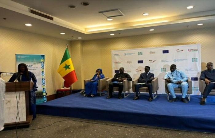 Día Nacional de la Ostra: Celebración de un tesoro ecológico y económico esencial para Senegal – VivAfrik