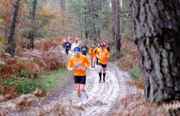 Más de 700 participantes en el Trail des Sables de Cauderoue