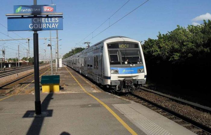 RER E: una oferta de transporte completa para los usuarios de Seine-et-Marne