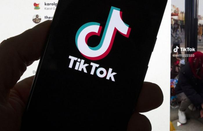 TikTok impugna la orden de Ottawa de cesar sus operaciones en Canadá