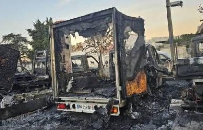 Una oleada “fenomenal” de solidaridad para apoyar al Banco de Alimentos del Gard