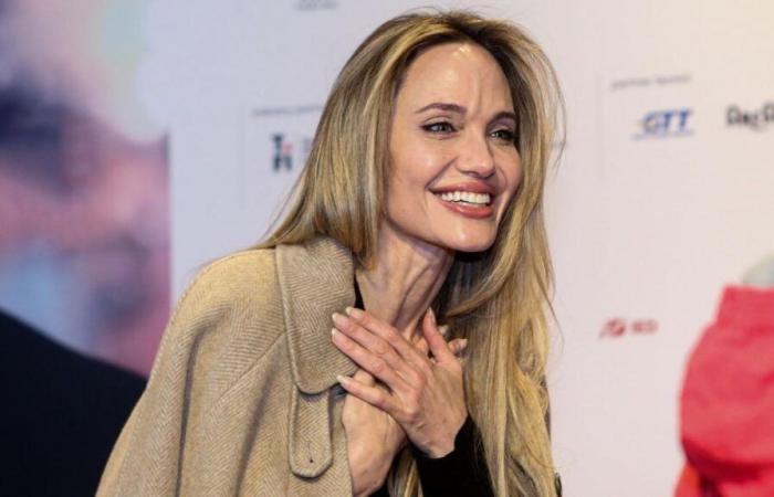 Angelina Jolie fue captada comprando en una tienda low cost de París