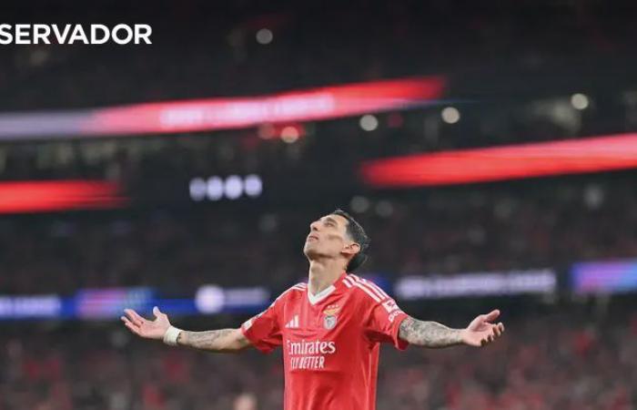 Lage y la noche fría que puede ser para enero para ver (la crónica de Benfica-Bolonha) -observer