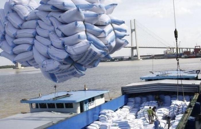 El precio del kilo de arroz bajo la presión del transporte marítimo