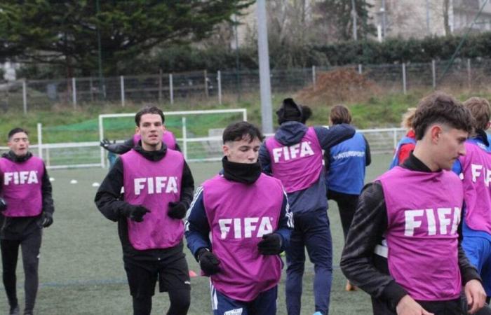 La selección francesa recibe a Irlanda en Saint-Nazaire