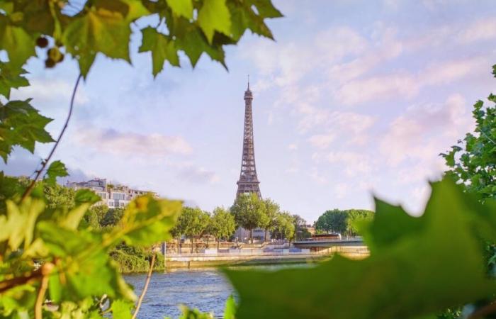 Miles de árboles plantados en las calles de París este invierno