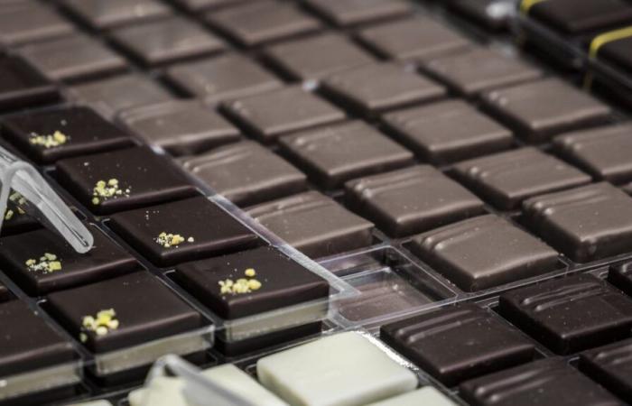 Ante un cacao cada vez más caro, ¿puede el “chocolate falso” convertirse en una alternativa creíble?