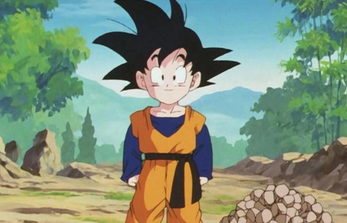 Elimina 3 personajes de Dragon Ball, adivinaremos tu edad