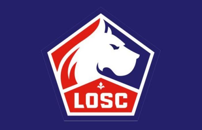 Fútbol. LOSC se cuenta en un libro para niños – SportBusiness.Club