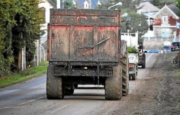 En Finistère, una carta para evitar conflictos de uso entre agricultores y recién llegados