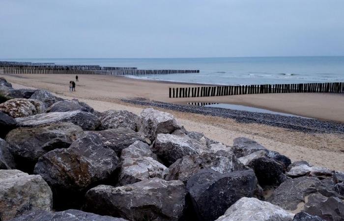 Informe meteorológico. ¿Cómo está el tiempo este miércoles 11 de diciembre en Alta Francia?