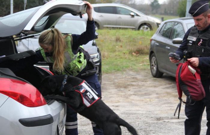 Landas. A medida que se acercan las vacaciones, la policía se movilizó: “pensad quién será Sam”